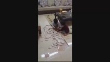 Anne Babası Evde Olmayan Çocukların Fayansları Parçalaması