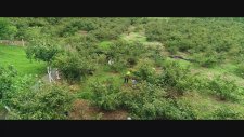 Fındıktan Sonra (2018) Fragman