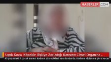 Kocası Tarafından Köpekle İlişkiye Zorlanan Kadın