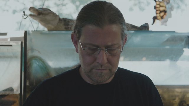 Turtle Shells (2016) Fragman