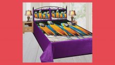 Bed Sheet Sets Online