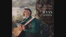 Divane Aşıklar & Kulcan İlyas Şimşek & Orhan Gürsoy & İbrahim Pala & İlke Türkdoğan