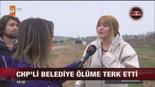Hayvan Barınağı Ölü Köpeklerle Dolu - 4 Ocak 2018