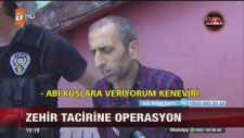 Terasta Kenevir Bahçesi