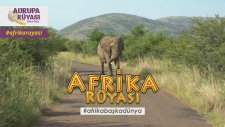 AFRİKA RÜYASI ile Güney Afrika'da Safari Turu