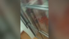 Salatalıkla Yapılan Efsane Şaka