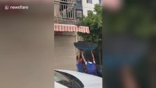 Şemsiyeyle Kedi Kurtaran Çinli Çocuklar