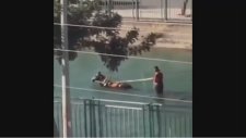 At Arabasını Sulama Kanalında Süren Adana'lılar