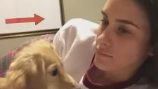 Ağzına Köpek Giren Kadın