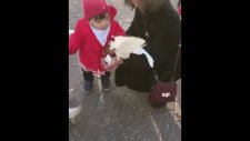 Kuşla Yemeğini Paylaşmak İstemeyen Çocuk