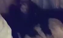 Şaplakçı Maymun