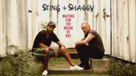 Sting - Shaggy - Waiting For The Break Of Day Sting - Shaggy - Waiting For The Break Of Day