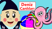 Deniz Canlılarını (Hayvanlarını) Öğreniyorum | Okul Öncesi Türkçe Eğitici Çizgi Filmle