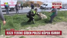Kaza Yerine Giden Polisi Köpek Isırdı