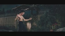 Öfkenin Yumruğu - Chen vs Petrov