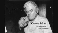Ahmad Şamlu- Çıkmaz Sokak Yorum: Mazlum Okan