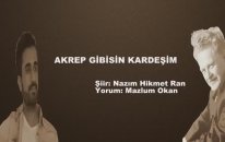 Nazım Hikmet Ran- Akrep Gibisin Kardeşim Yorum:Mazlum Okan