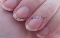 Tırnaklarımız neden uzar? (Çocuk Belgeseli)