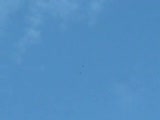 tamer bilen(dolapçı güvercinler)performans (2) edi