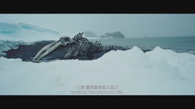 Dünyanın Sonuna Kadar / Nan ji jue lian (2018) Fragman