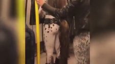 Metroya Binen At Kadınlar