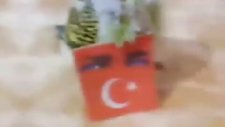 Vatansever muhabbet kuşları