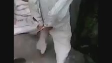 Popoya Girerken Son Anda Yakalanan Fare