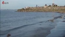outing at seaside plain