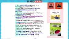 Ygs Lys Edebiyat Tanzimat Edebiyati Tanzimat Dönemi Sanatçıları