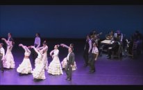 Picasso - Invocaciones Flamencas