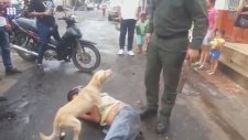 İnsan Dostunun Yanına Kimseyi Yanaştırmayan Köpek