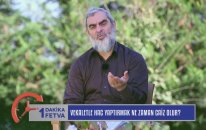 673) Vekaletle Hac Yaptırmak Ne Zaman Caiz Olur?/birfetva - Nureddin Yıldız