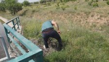 Haram Hayvanı Kurtarıp Sevap İşlemek