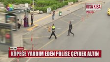 Köpeğe Yardım Eden Polise Çeyrek Altın Vermek