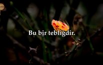 Bu Bir Tebliğdir! Ahkaf Suresi - Nasser al Qatami | fussilet Kuran Merkezi