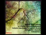 Desem Ki - Cahit Sıtkı Taranci