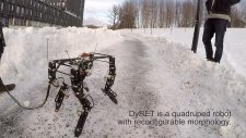 Dört Ayaklı Kendi Başına Yürüyebilen Ve Öğrenen Robot