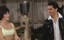Elvis Presley-Dirty,Dirty Feeling(From the Movies