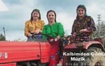 Yüce Dağ Başında HD