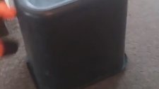 Yarasayı Olduğu Yerde Rahatsız Ettiğine Pişman Olan Adam