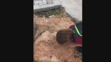 Kesilen Ağacın Arkasından Ağlayan Çocuk