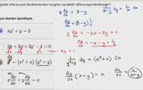 Örnek: Ayrılabilir Diferansiyel Denklemlerin Tanımlanması (Matematik) (Diferansiyel Denklemler)