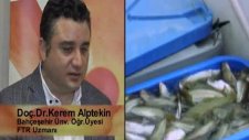 Eklem Sağlığının İlacı: Kelle-Paça Çorbası Değil, ‘ Kollajen Peptiler’