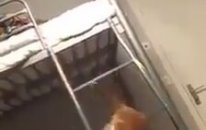 Ranzadan İnemeyen Kedi