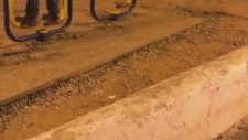 Köpeğiyle Birlikte Kaliteli Spor Yapan Adam