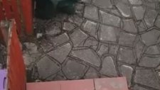 Suçüstü Yakalanan Hırsız