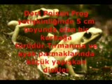 DÜNYANIN EN ZEHİRLİ HAYVANI!!
