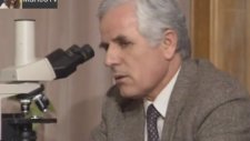 Barış Manço Ağaçtaki Bismillah Yazısını İnceliyor (1989)