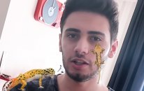Kertenkele Eğiten Youtuber ( Gecko )