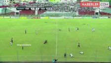 Ekvador Liginde Sahayı Arıların Basmasının Ardından Futbolcular Kendini Yere Bıraktı